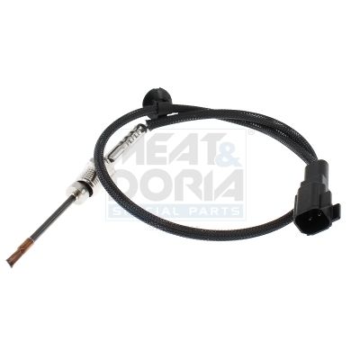 Sensor Abgastemperatur