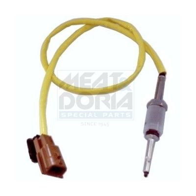 Sensor Abgastemperatur