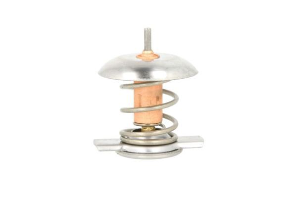 Thermostat Einsatz