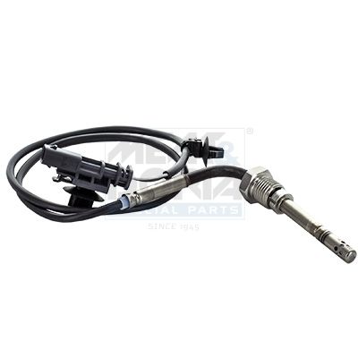 Sensor Abgastemperatur