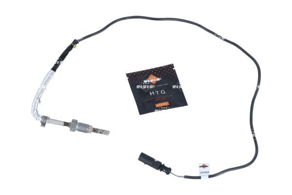 Sensor Abgastemperatur