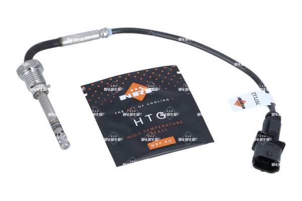 Sensor Abgastemperatur
