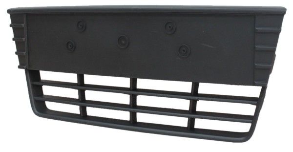 Stoßstange Gitter