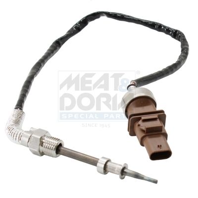 Sensor Abgastemperatur