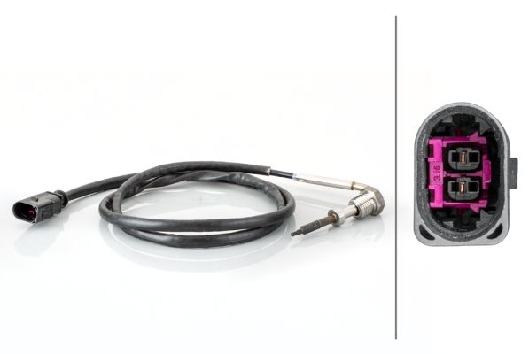 Sensor Abgastemperatur