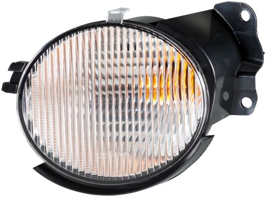 Set: 2 × Blinker vorne