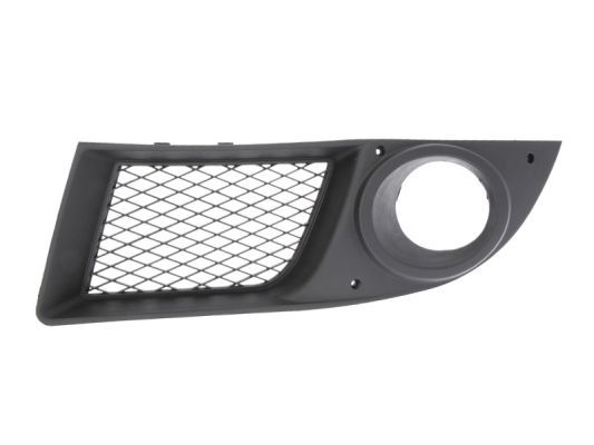 Stoßstange Gitter