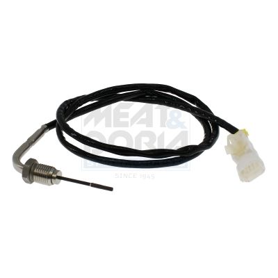 Sensor Abgastemperatur