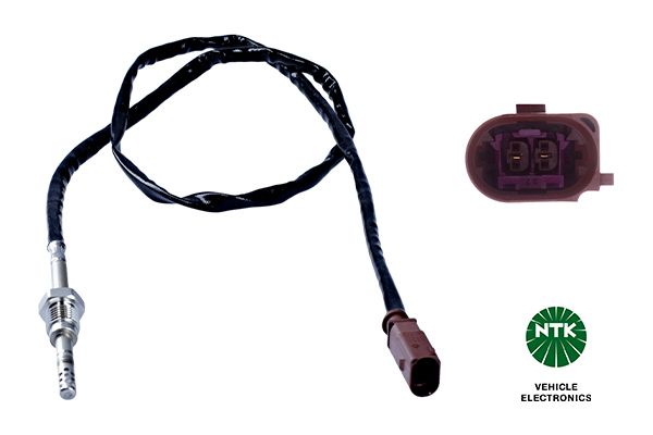 Sensor Abgastemperatur