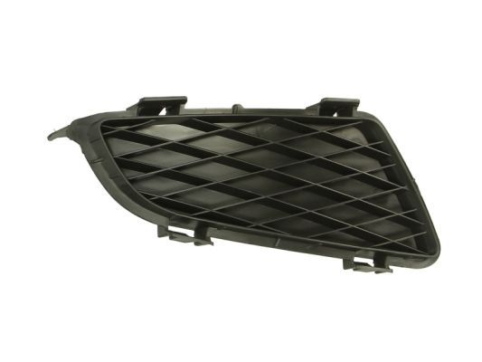 Stoßstange Gitter