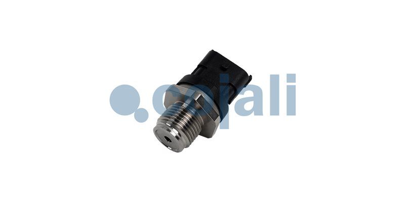 Kraftstoffdrucksensor
