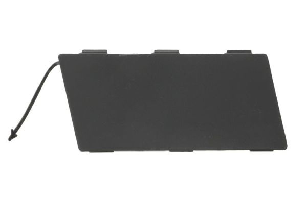 Stoßstange Gitter