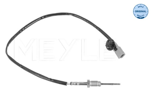 Sensor Abgastemperatur