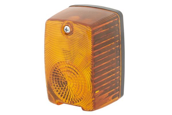 Blinker Blinkleuchte