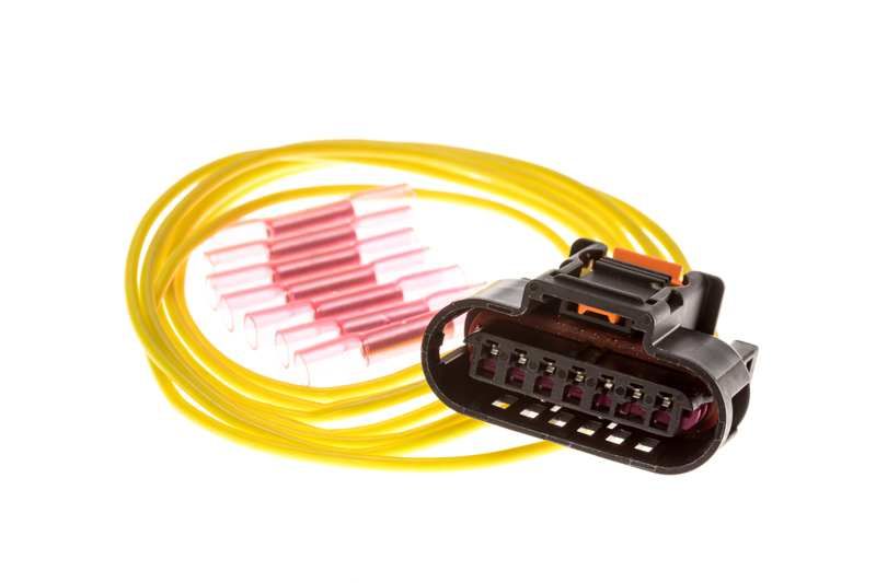 Elektrischer Kabelbaum der Zündspule