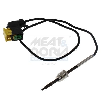 Sensor Abgastemperatur