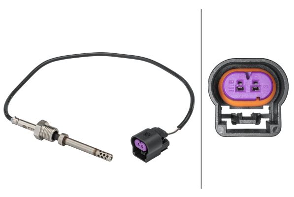 Sensor Abgastemperatur