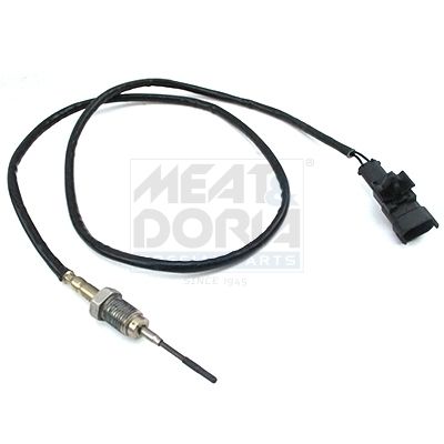 Sensor Abgastemperatur
