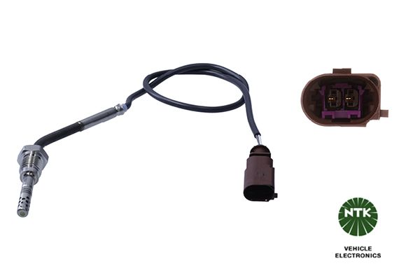 Sensor Abgastemperatur