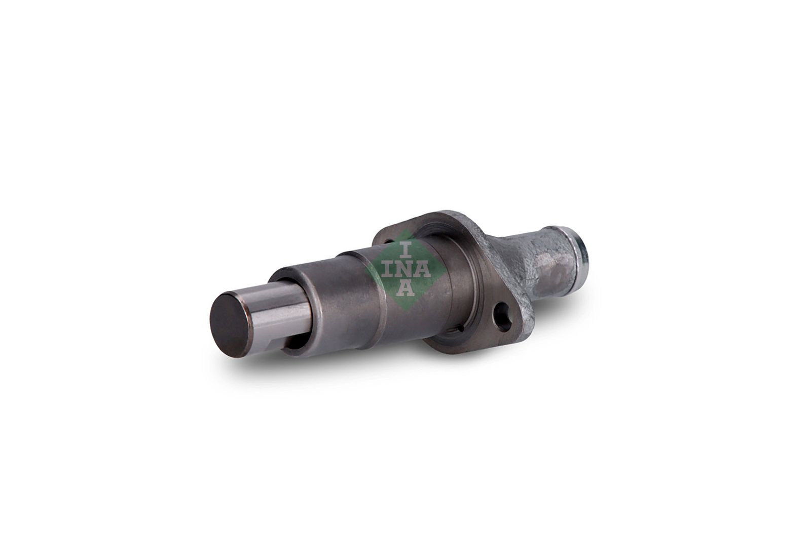 Spanner Steuerkette