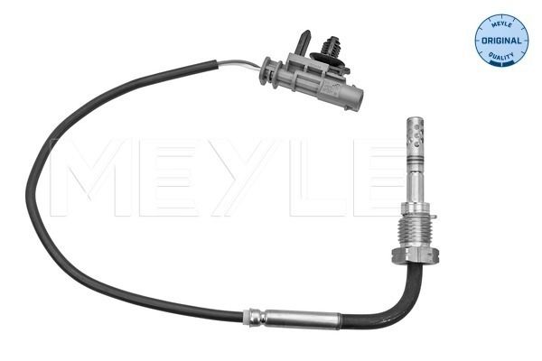Sensor Abgastemperatur