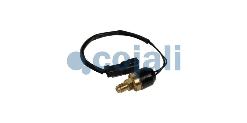 Sensor