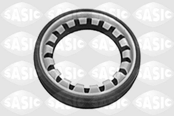 Wellen Dichtring Differential