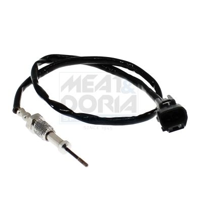 Sensor Abgastemperatur