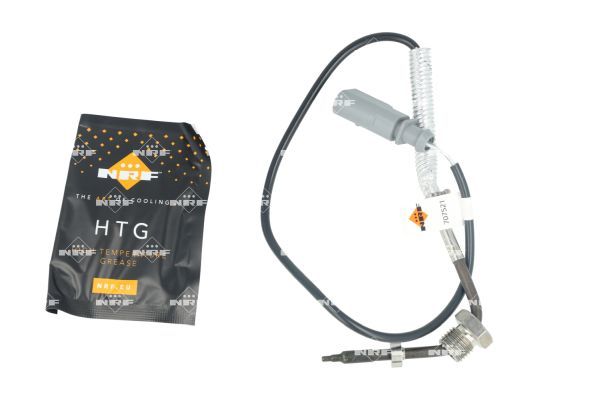 Sensor Abgastemperatur