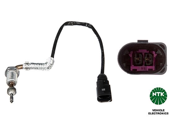 Sensor Abgastemperatur