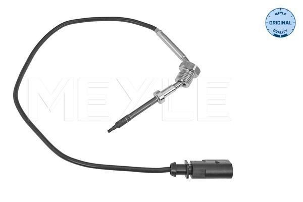 Sensor Abgastemperatur