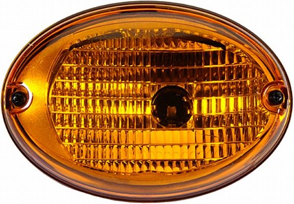 Blinker Blinkleuchte