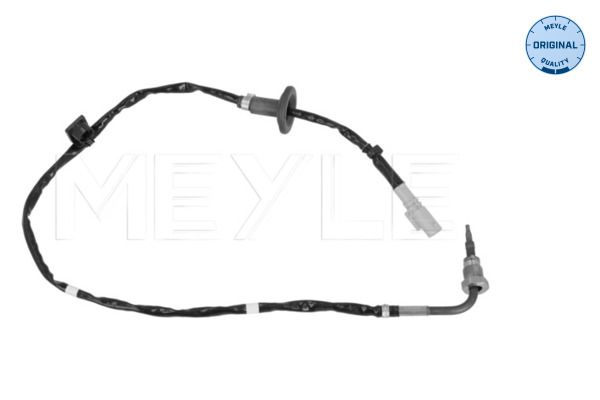 Sensor Abgastemperatur