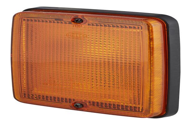 Blinker Blinkleuchte