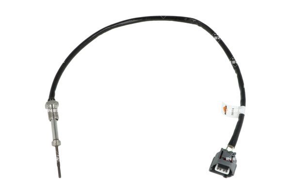 Sensor Abgastemperatur