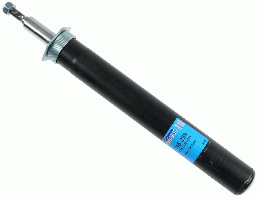 Stoßdämpfer Federbein