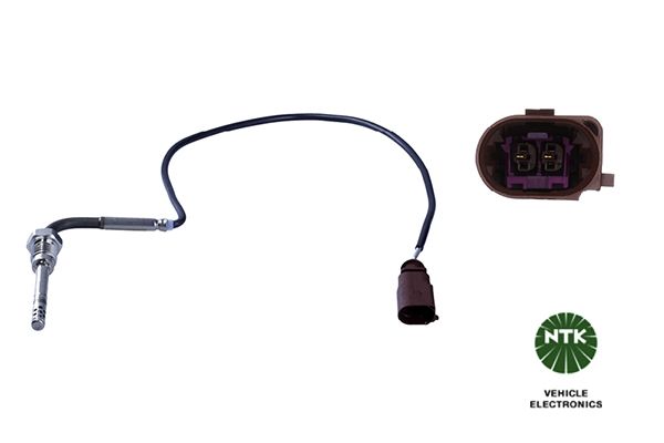 Sensor Abgastemperatur