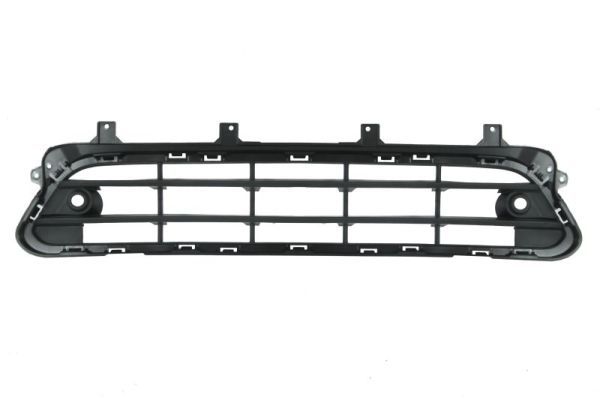 Stoßstange Gitter