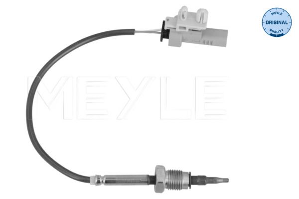 Sensor Abgastemperatur