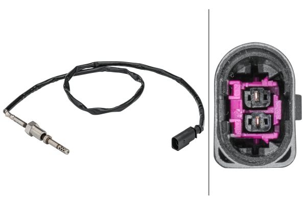 Sensor Abgastemperatur