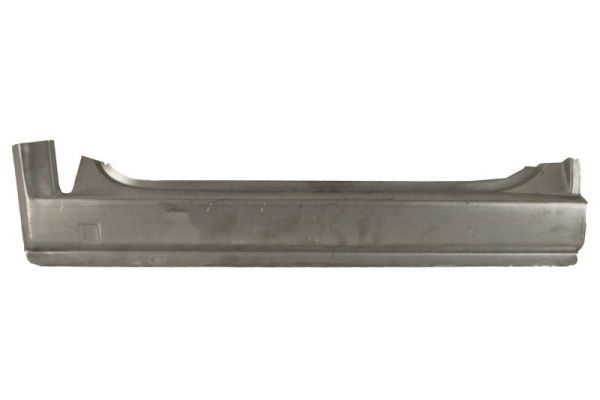 Einstiegsblech Schweller