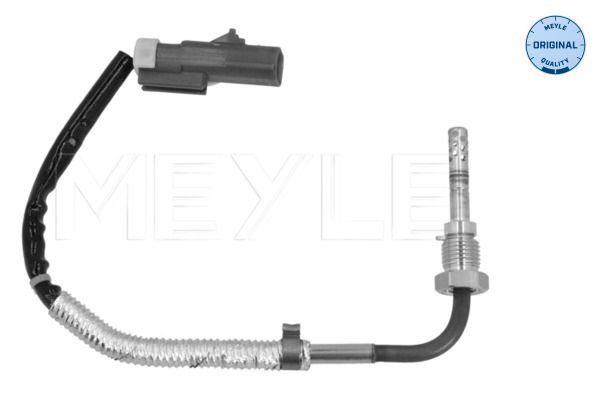 Sensor Abgastemperatur