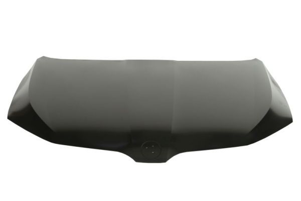 Motorhaube Haube