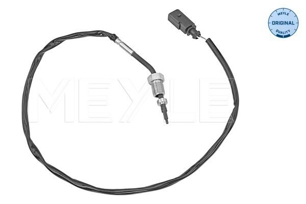 Sensor Abgastemperatur