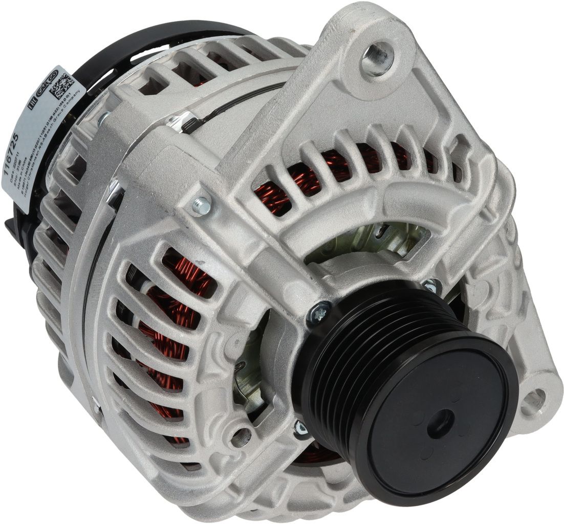 Lichtmaschine Generator