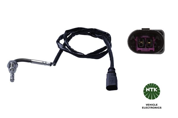 Sensor Abgastemperatur