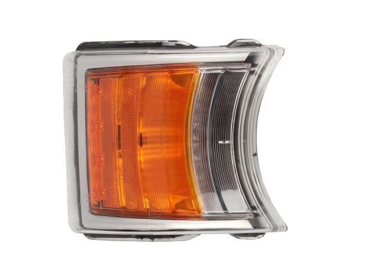 Blinker Blinkleuchte