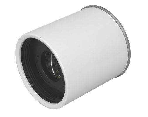 Kraftstofffilter Kraftstoff Filter