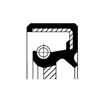 Wellen Dichtring Differential