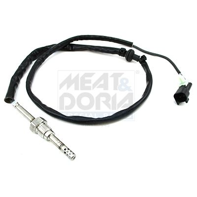 Sensor Abgastemperatur